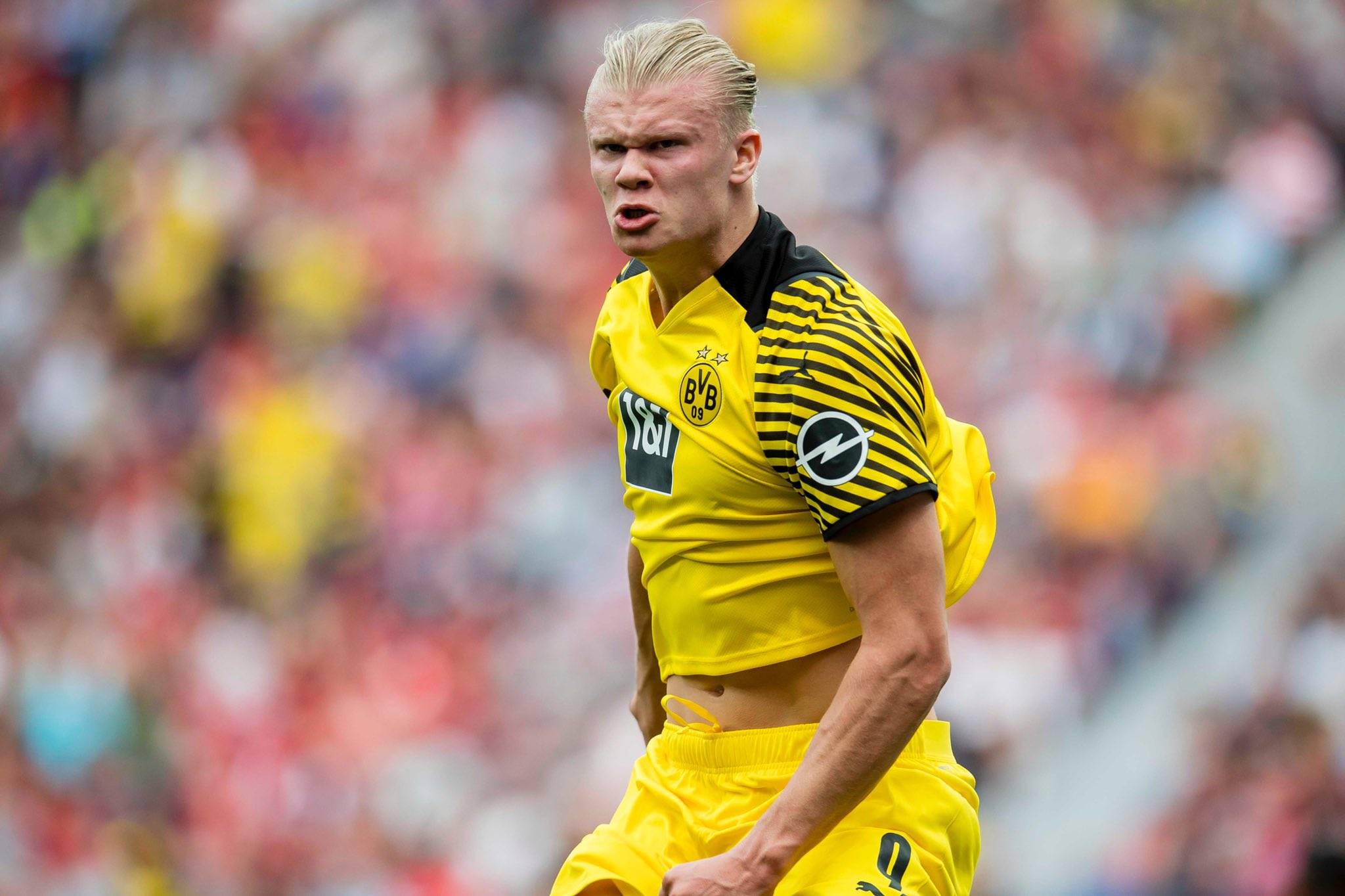 阿莱格里：没给弟媳打电话；缺中锋？现在意甲头号射手是恰20（阿莱格里：没联系弟媳；缺中锋？现在意甲射手榜第一是恰20）